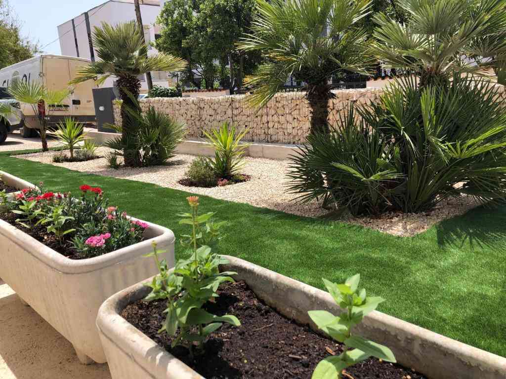 Green garden and palms at the property